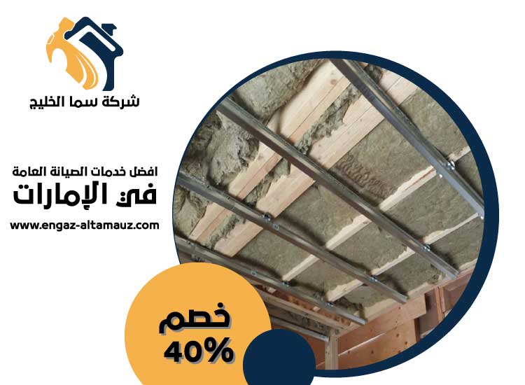 شركة عزل اسطح